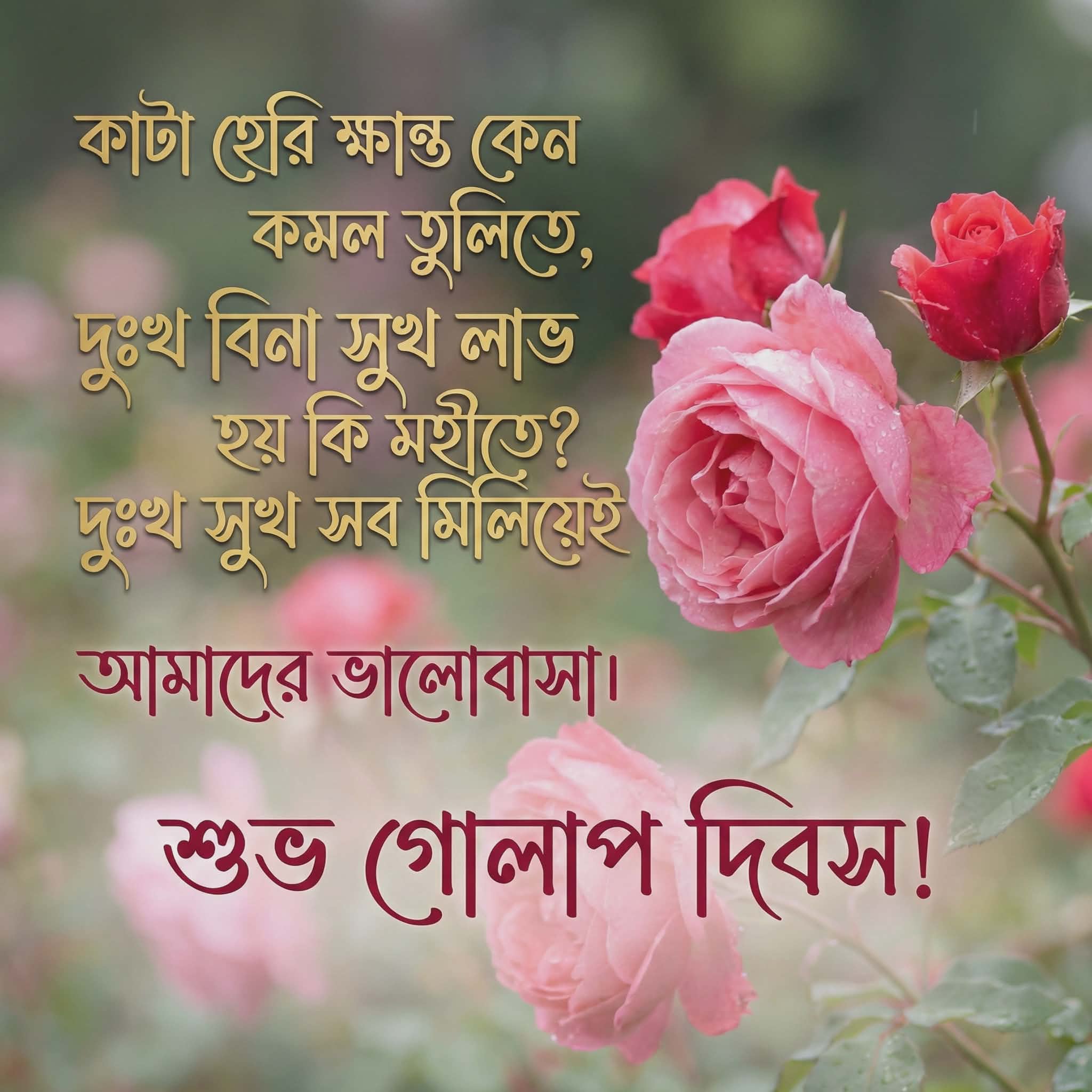 কাটা হেরি ক্ষান্ত কেন | Deep Bangla Rose Day Quotes on Reality